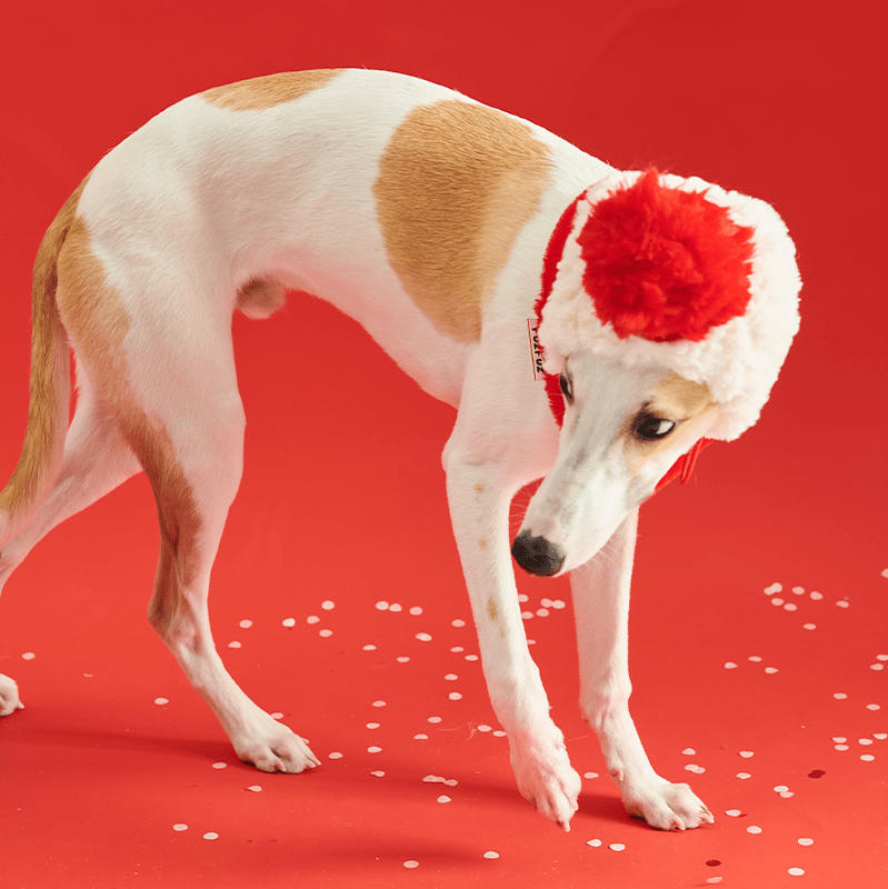 New Year Red Fleece Collar Scarf Hat - PIKAPIKA