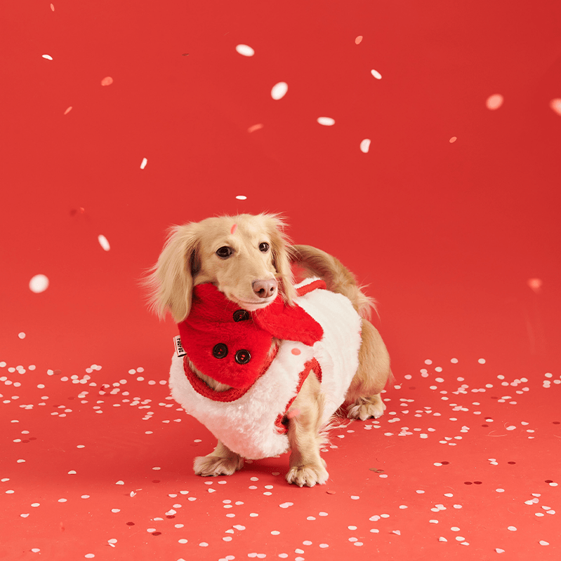 New Year Red Fleece Vest Jacket Dachshund Clothes - PIKAPIKA