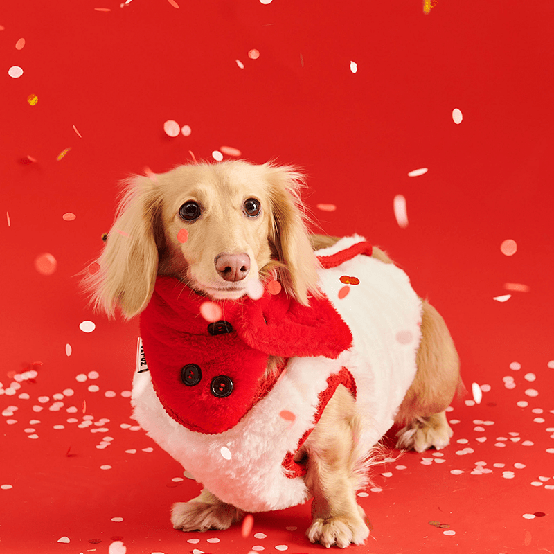 New Year Red Fleece Vest Jacket Dachshund Clothes - PIKAPIKA