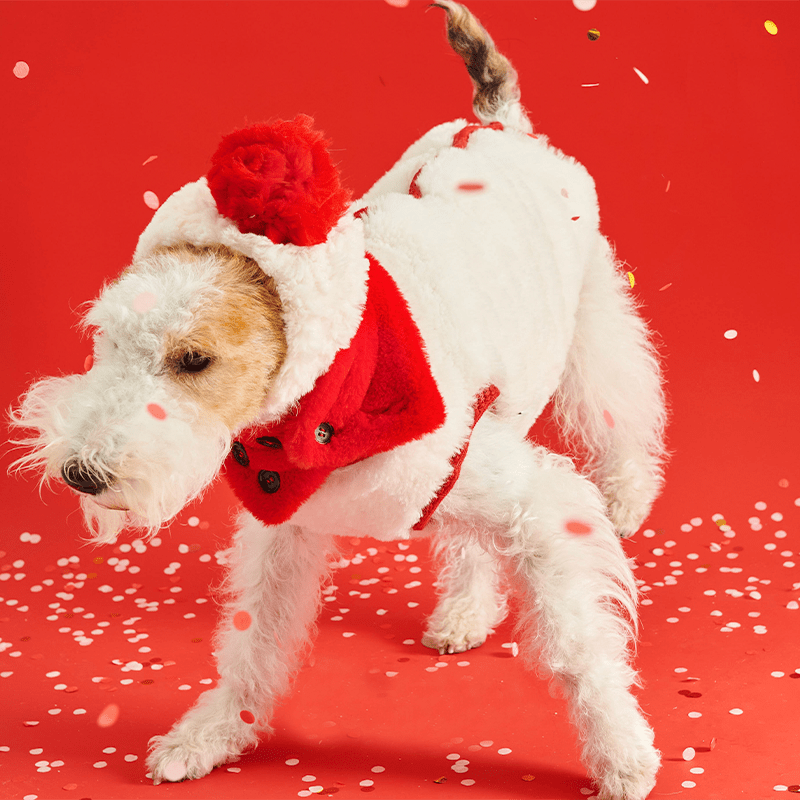 New Year Red Fleece Vest Jacket Dog Clothes - PIKAPIKA