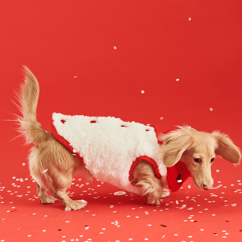 New Year Red Fleece Vest Jacket Dog Clothes - PIKAPIKA