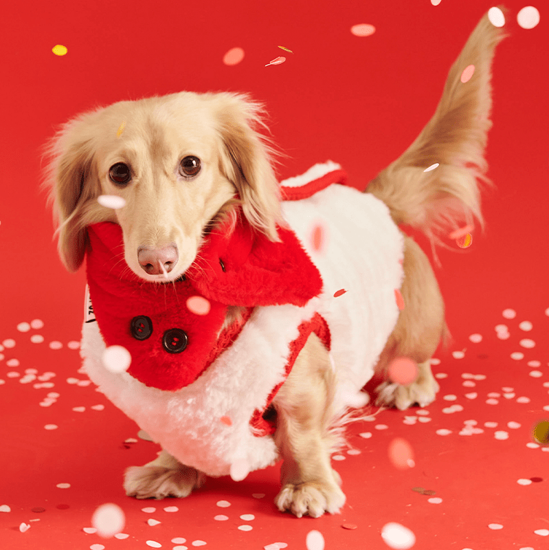 New Year Red Fleece Vest Jacket Dog Clothes - PIKAPIKA