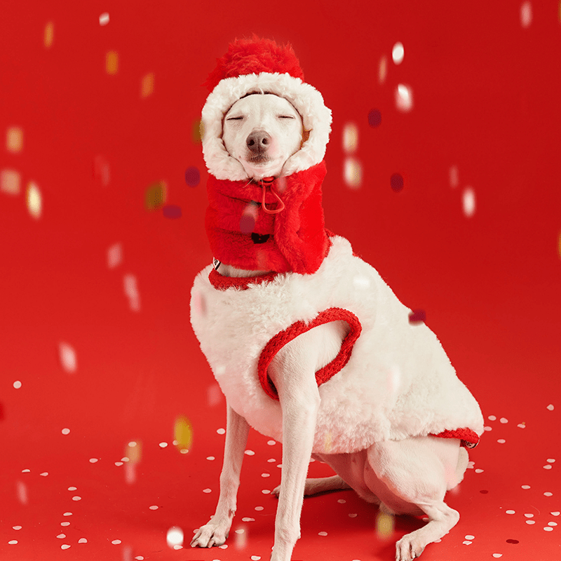 New Year Red Fleece Vest Jacket Dog Clothes - PIKAPIKA