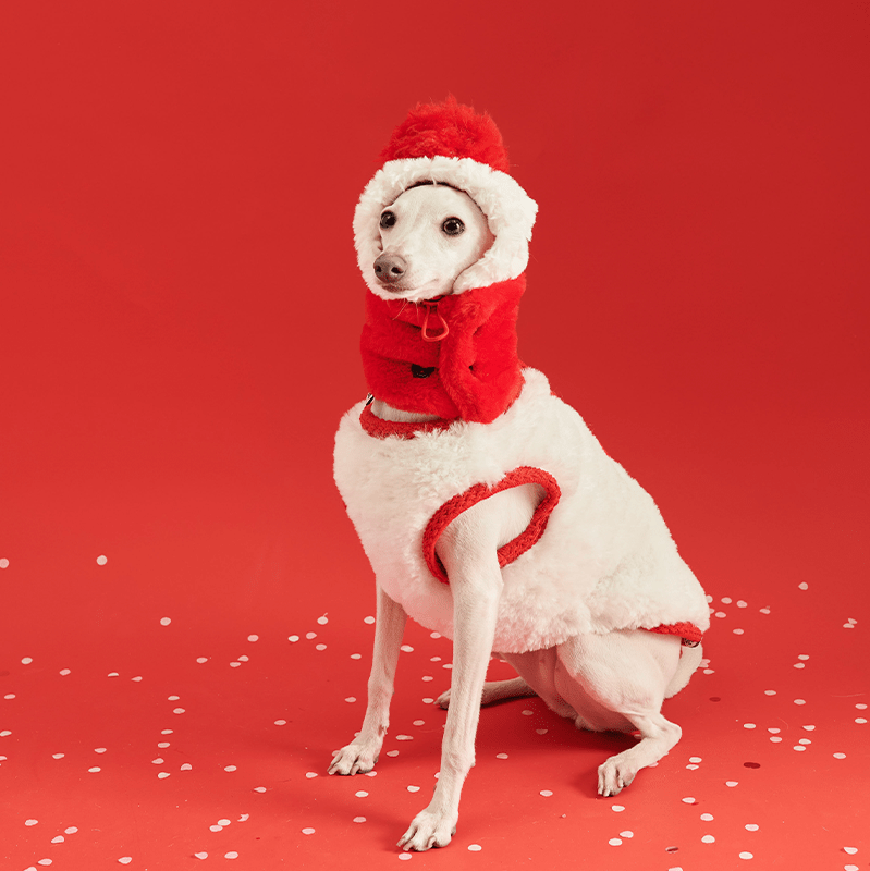 New Year Red Fleece Vest Jacket Italian Greyhound Whippet Clothes - PIKAPIKA