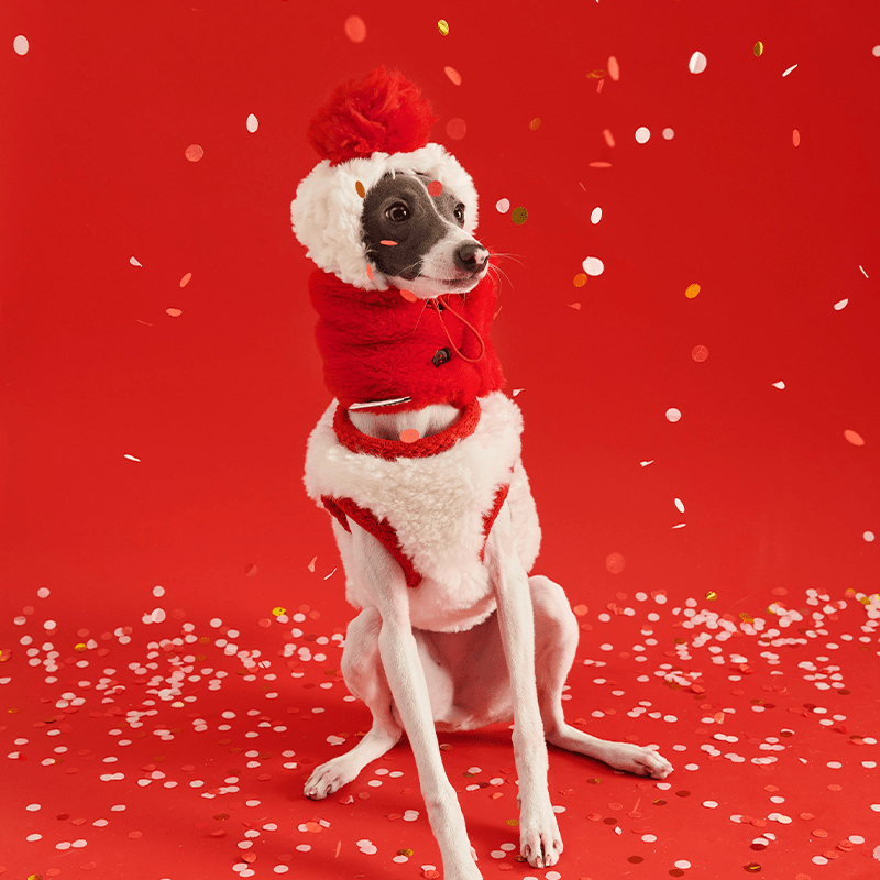 New Year Red Fleece Vest Jacket Italian Greyhound Whippet Clothes - PIKAPIKA