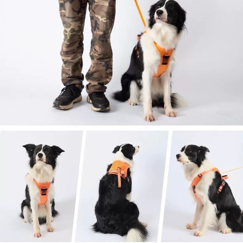 No - Pull Dog Harness with Leash - PIKAPIKA