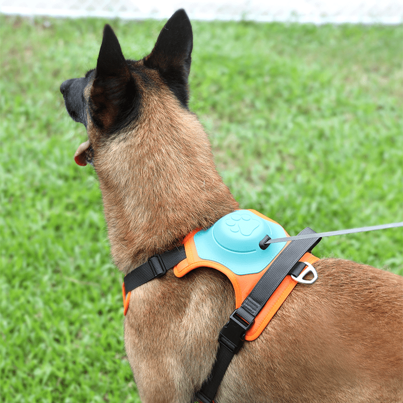 No - Pull Dog Harness with Leash - PIKAPIKA