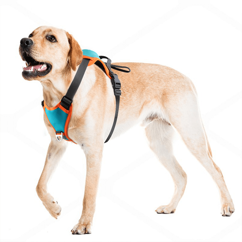 No - Pull Dog Harness with Leash - PIKAPIKA