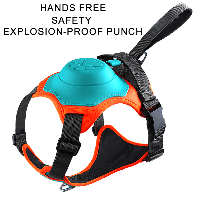 No - Pull Dog Harness with Leash - PIKAPIKA