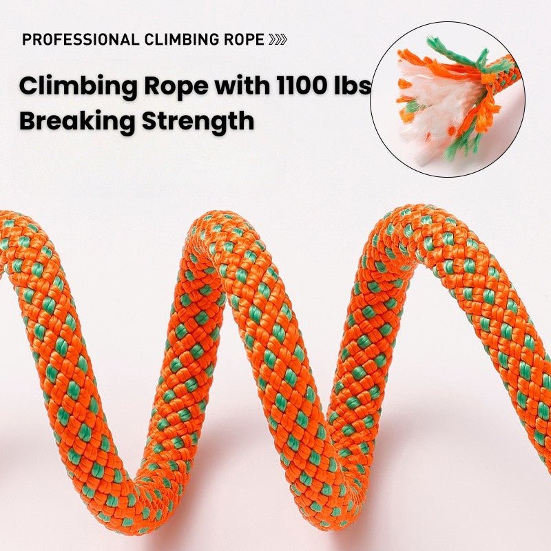 No - Pull Dog Training Leash Collar Set Heavy Duty 3.9 - 5.9 ft - PIKAPIKA