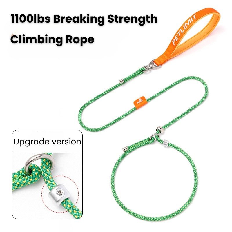 No - Pull Dog Training Leash Collar Set Heavy Duty 3.9 - 5.9 ft - PIKAPIKA