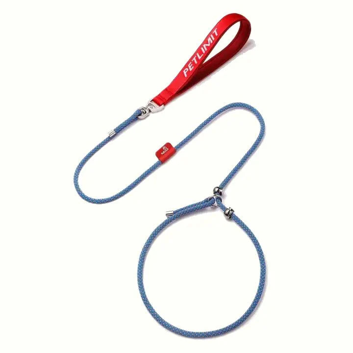 No - Pull Dog Training Leash Collar Set Heavy Duty 3.9 - 5.9 ft - PIKAPIKA