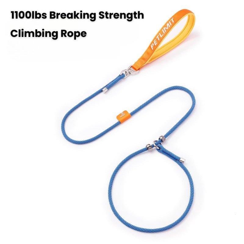 No - Pull Dog Training Leash Collar Set Heavy Duty 3.9 - 5.9 ft - PIKAPIKA