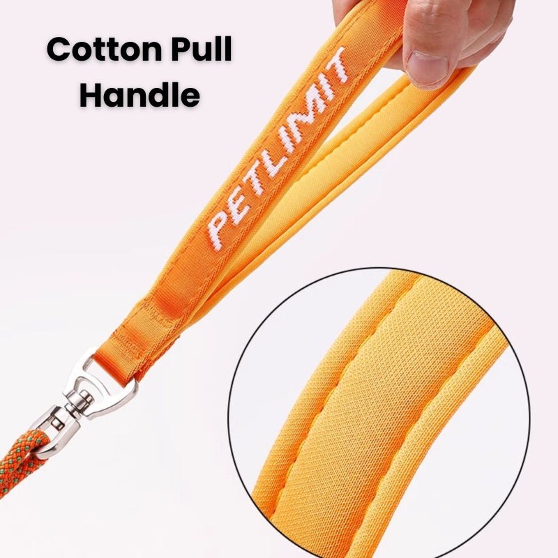 No - Pull Dog Training Leash Collar Set Heavy Duty 3.9 - 5.9 ft - PIKAPIKA