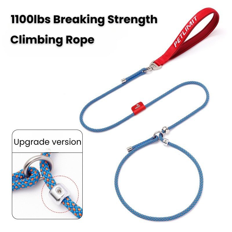 No - Pull Dog Training Leash Collar Set Heavy Duty 3.9 - 5.9 ft - PIKAPIKA