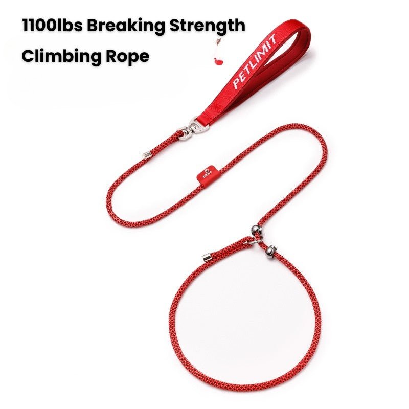 No - Pull Dog Training Leash Collar Set Heavy Duty 3.9 - 5.9 ft - PIKAPIKA