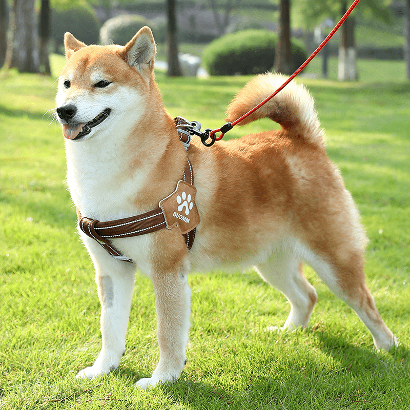 No - Pull Pet Harness Padded Vest & Adjustable Leash Set - PIKAPIKA