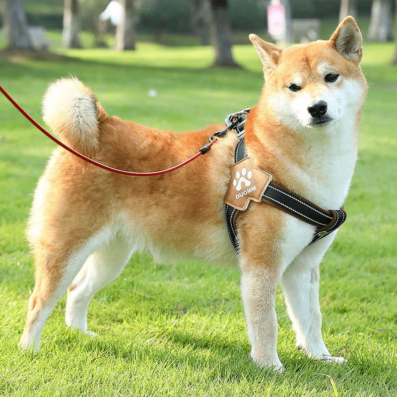 No - Pull Pet Harness Padded Vest & Adjustable Leash Set - PIKAPIKA