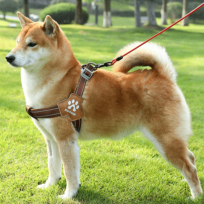 No - Pull Pet Harness Padded Vest & Adjustable Leash Set - PIKAPIKA