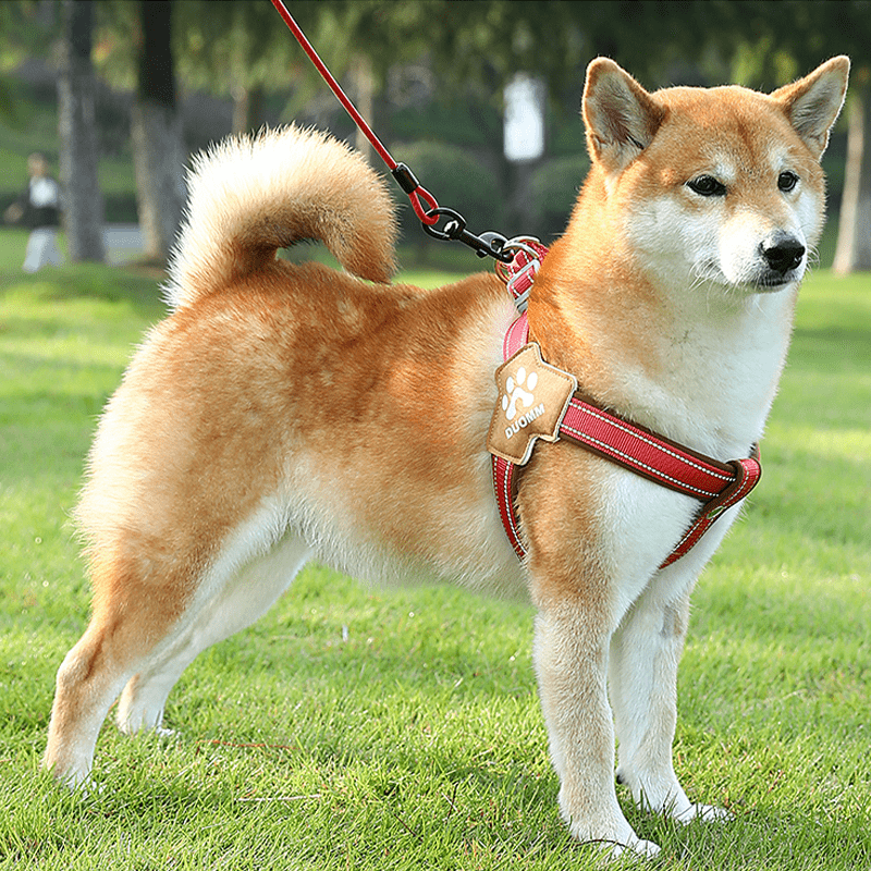 No - Pull Pet Harness Padded Vest & Adjustable Leash Set - PIKAPIKA