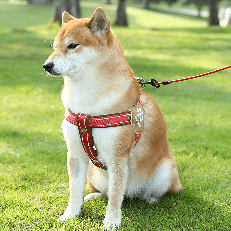 No - Pull Pet Harness Padded Vest & Adjustable Leash Set - PIKAPIKA