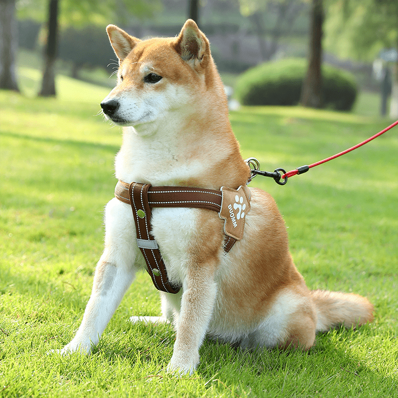 No - Pull Pet Harness Padded Vest & Adjustable Leash Set - PIKAPIKA