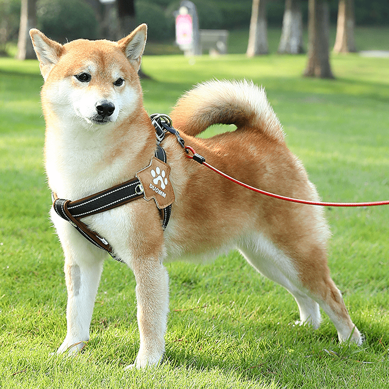 No - Pull Pet Harness Padded Vest & Adjustable Leash Set - PIKAPIKA