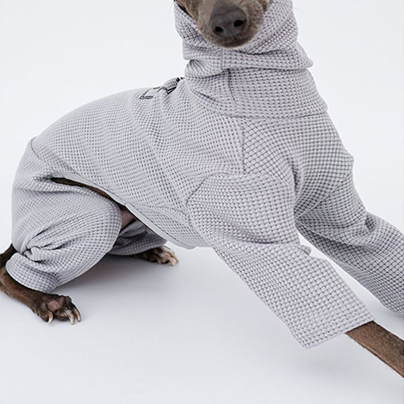 Onesie for Italian greyhound Whippet Dog Clothes - PIKAPIKA