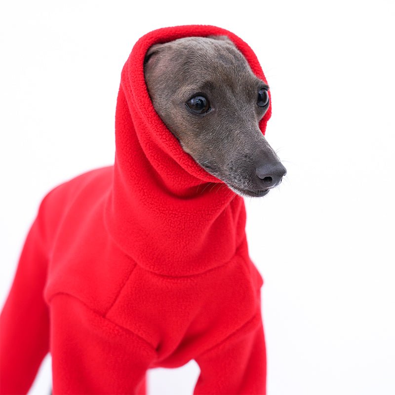 Onesie for Italian greyhound Whippet Dog Clothes - PIKAPIKA