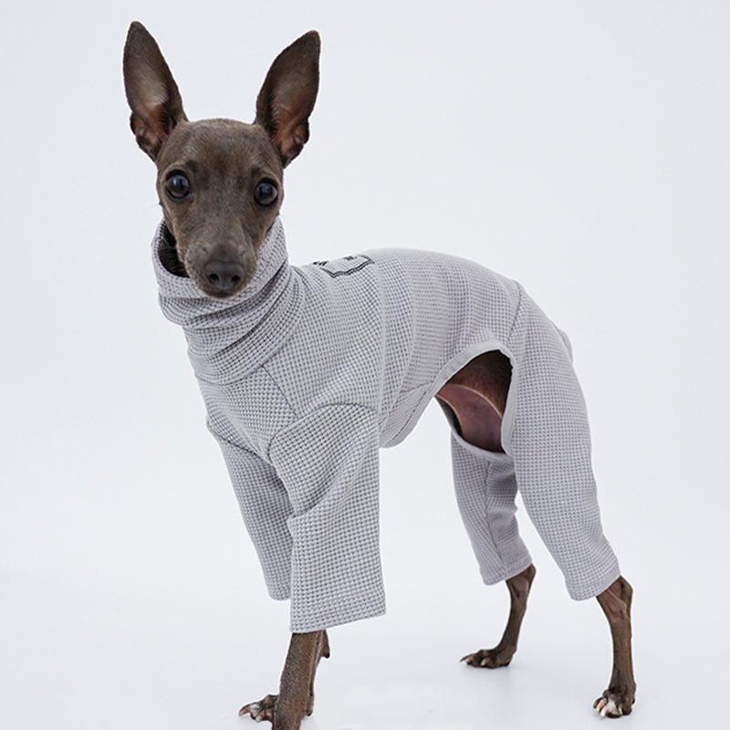 Onesie for Italian greyhound Whippet Dog Clothes - PIKAPIKA