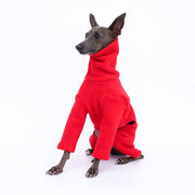 Onesie for Italian greyhound Whippet Dog Clothes - PIKAPIKA