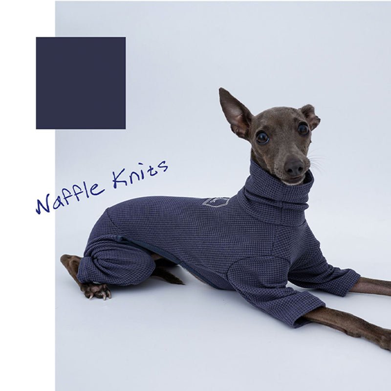 Onesie for Italian greyhound Whippet Dog Clothes - PIKAPIKA