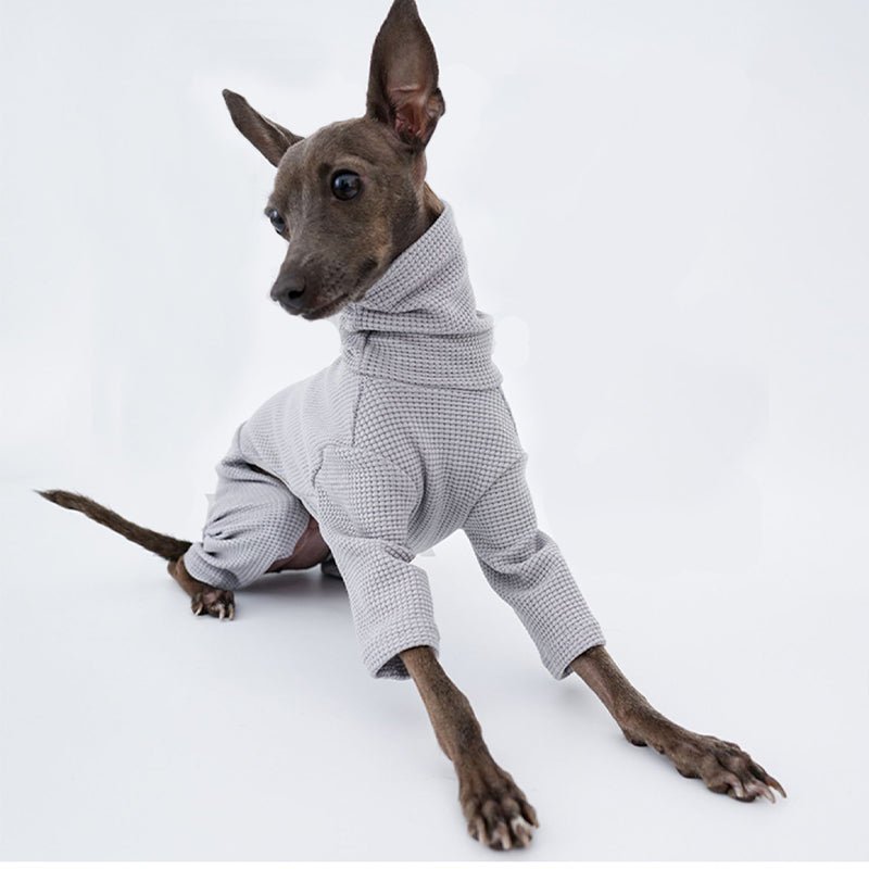Onesie for Italian greyhound Whippet Dog Clothes - PIKAPIKA