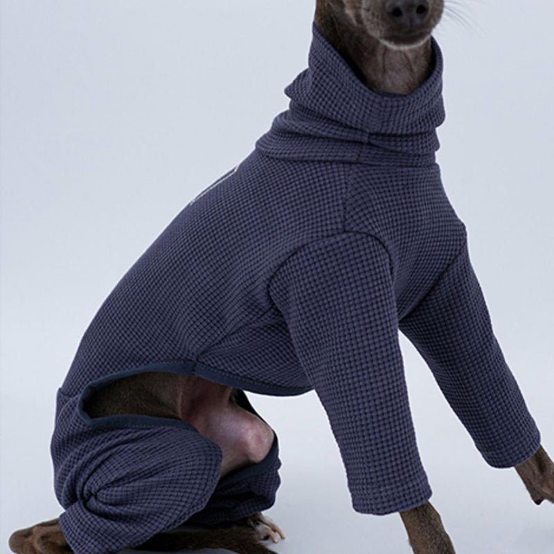 Onesie for Italian greyhound Whippet Dog Clothes - PIKAPIKA