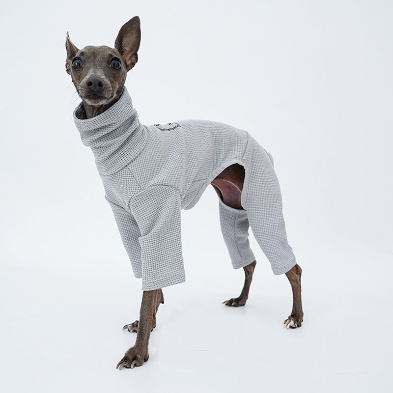 Onesie for Italian greyhound Whippet Dog Clothes - PIKAPIKA