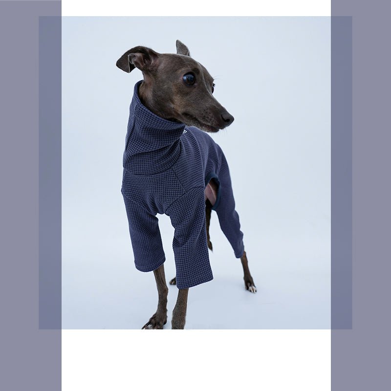 Onesie for Italian greyhound Whippet Dog Clothes - PIKAPIKA