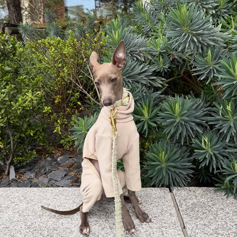 Waffle Onesie Italian Greyhound Whippet Dog Clothes