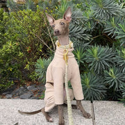 Waffle Onesie Italian Greyhound Whippet Dog Clothes