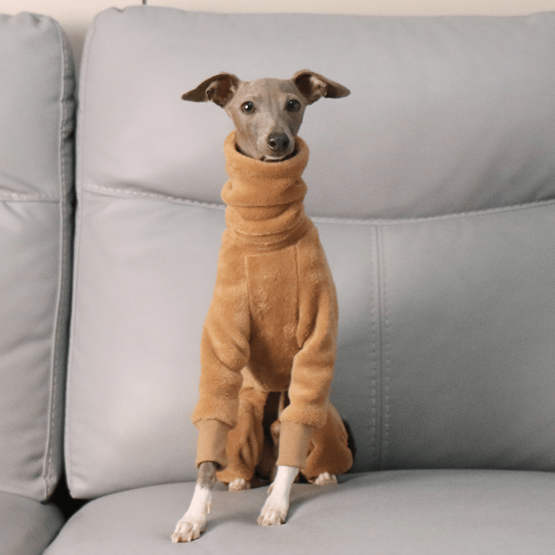 Onesies Fleece Soft Whippet Italian Greyhound Dog Clothing Brown - PIKAPIKA