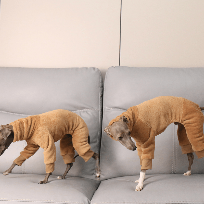 Onesies Fleece Soft Whippet Italian Greyhound Dog Clothing Brown - PIKAPIKA