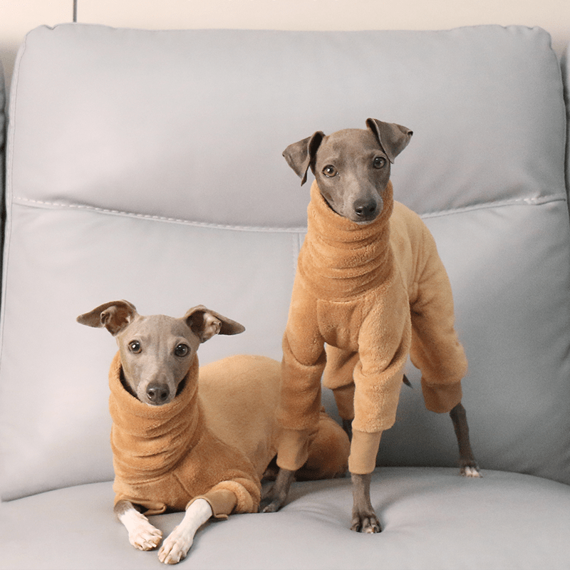 Onesies Fleece Soft Whippet Italian Greyhound Dog Clothing Brown - PIKAPIKA