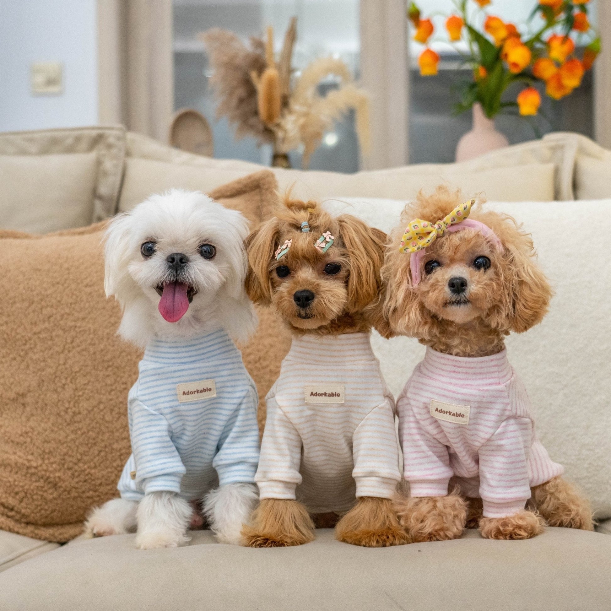 Organic Cotton Stripe Thermal Shirt for Toy Dogs - PIKAPIKA