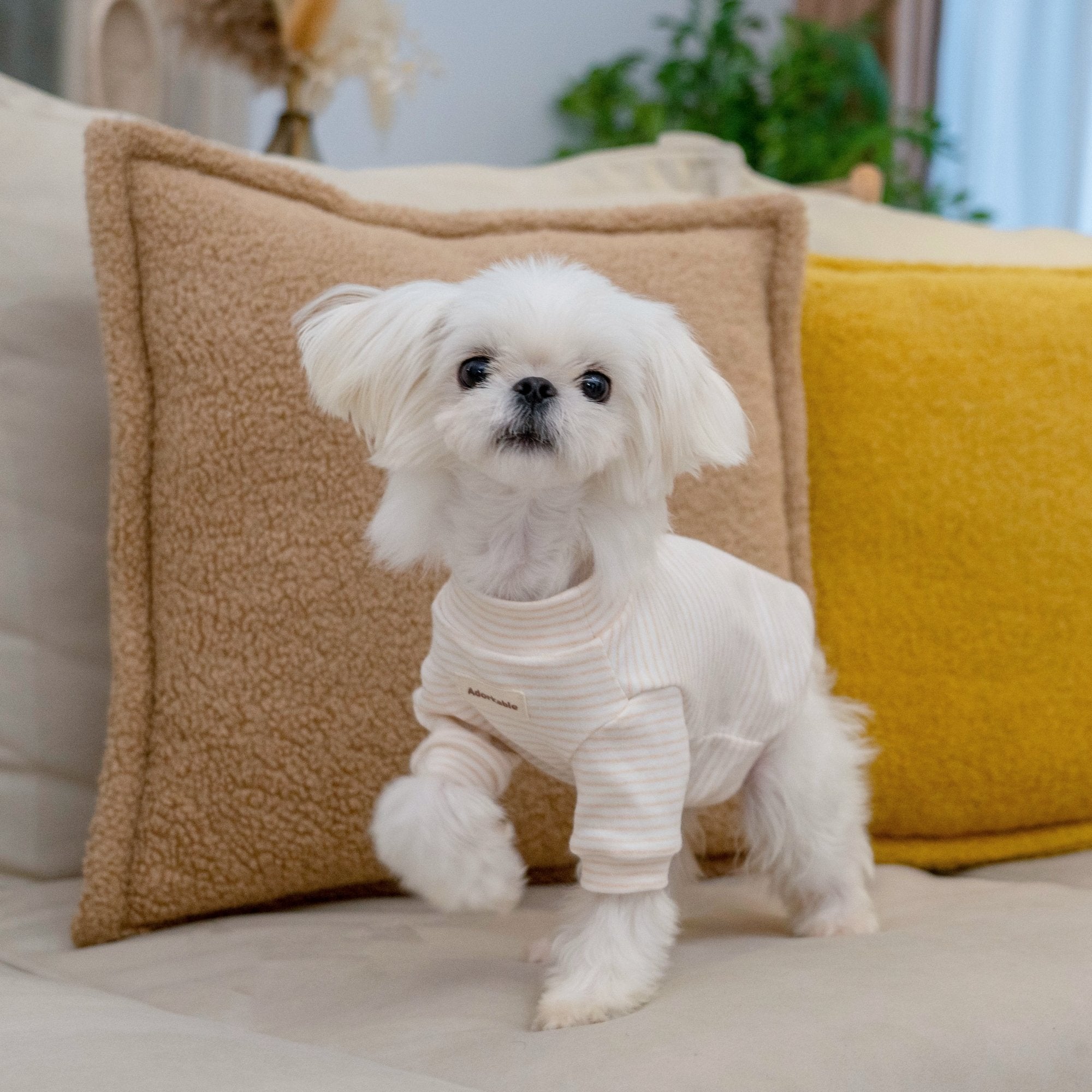 Organic Cotton Stripe Thermal Shirt for Toy Dogs - PIKAPIKA
