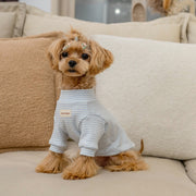 Organic Cotton Stripe Thermal Shirt for Toy Dogs - PIKAPIKA