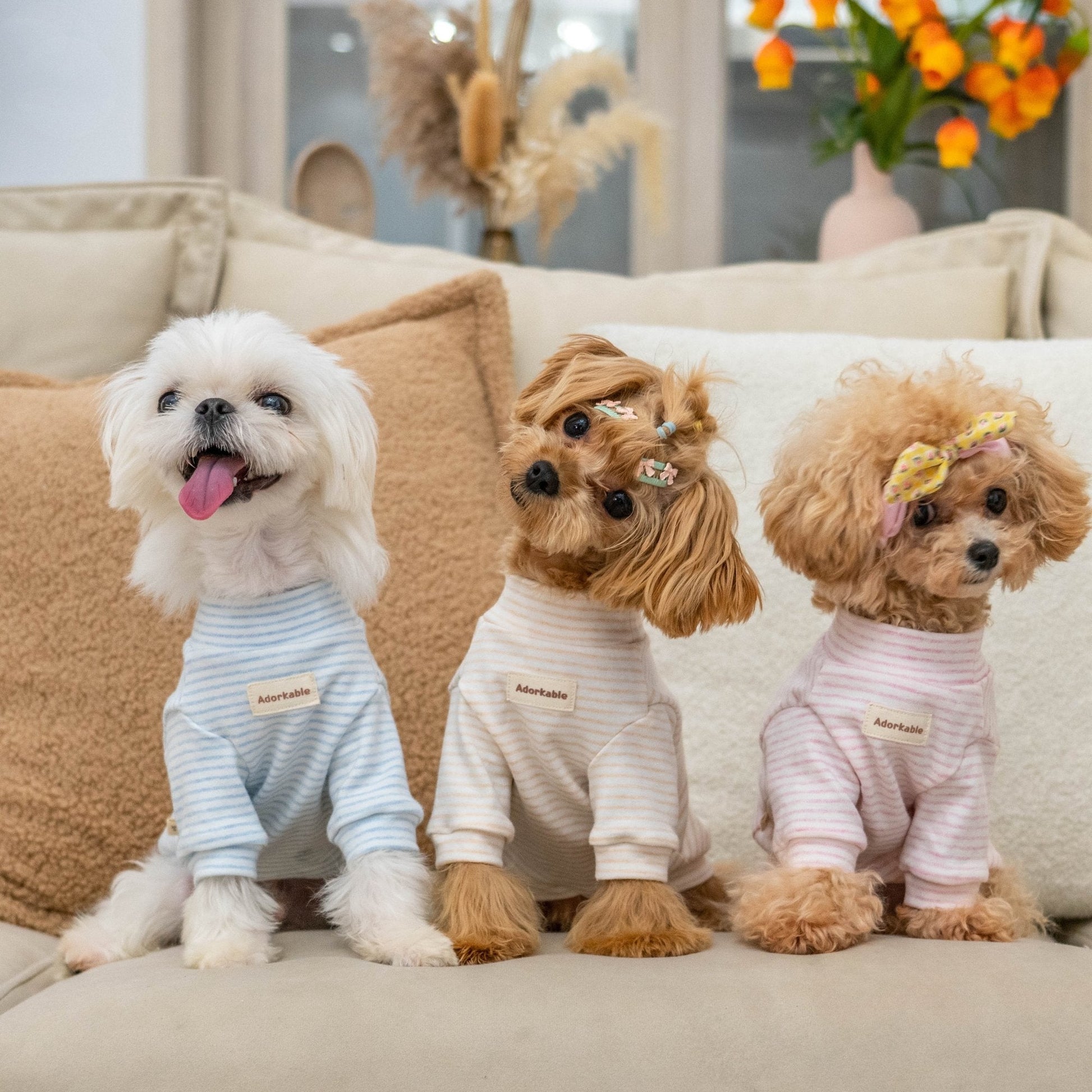 Organic Cotton Stripe Thermal Shirt for Toy Dogs - PIKAPIKA