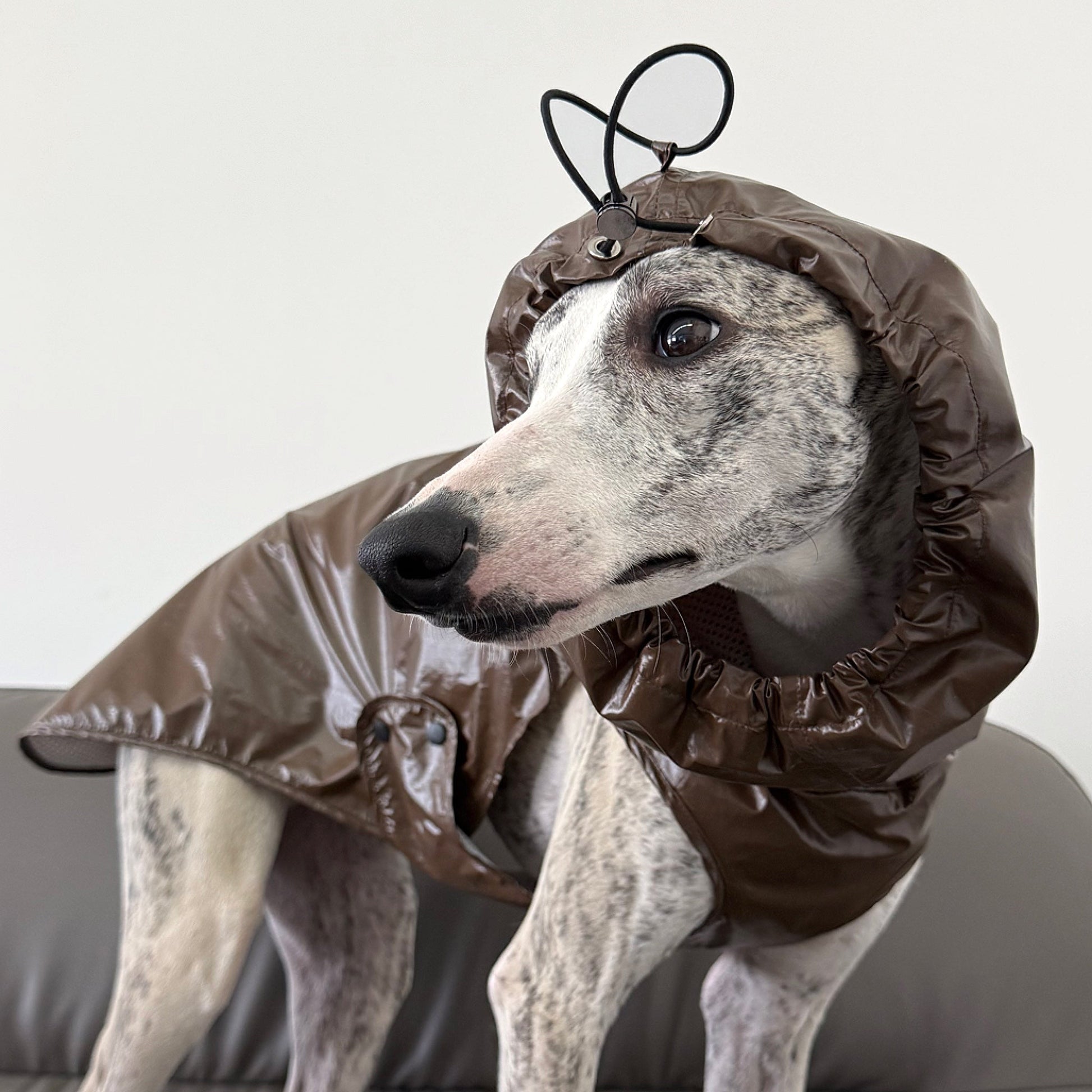 Outdoor Hooded Raincoat Waterproof Windproof Protective Jacket for Dogs - PIKAPIKA