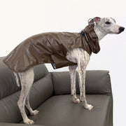 Outdoor Hooded Raincoat Waterproof Windproof Protective Jacket for Dogs - PIKAPIKA