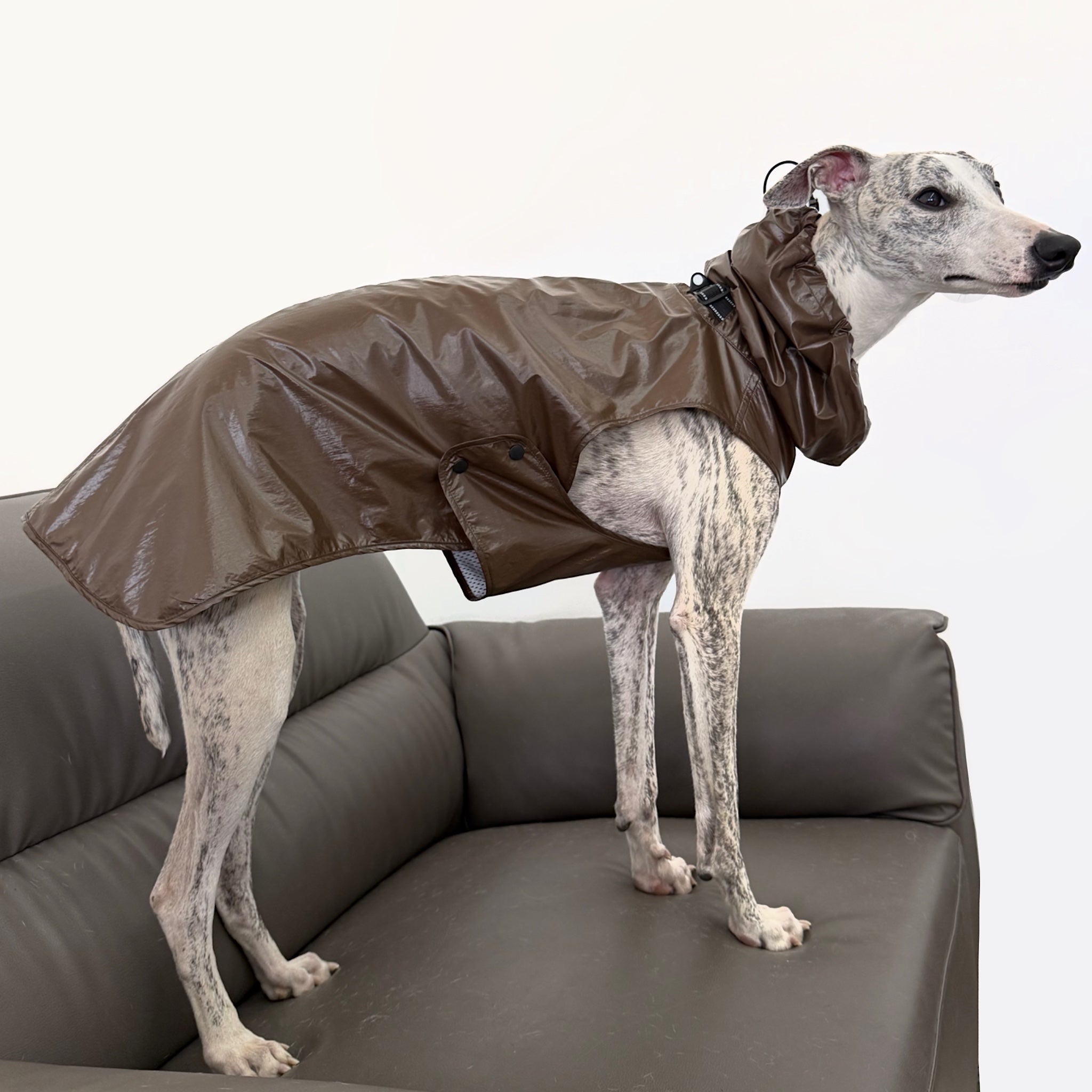 Outdoor Hooded Raincoat Waterproof Windproof Protective Jacket for Dogs - PIKAPIKA