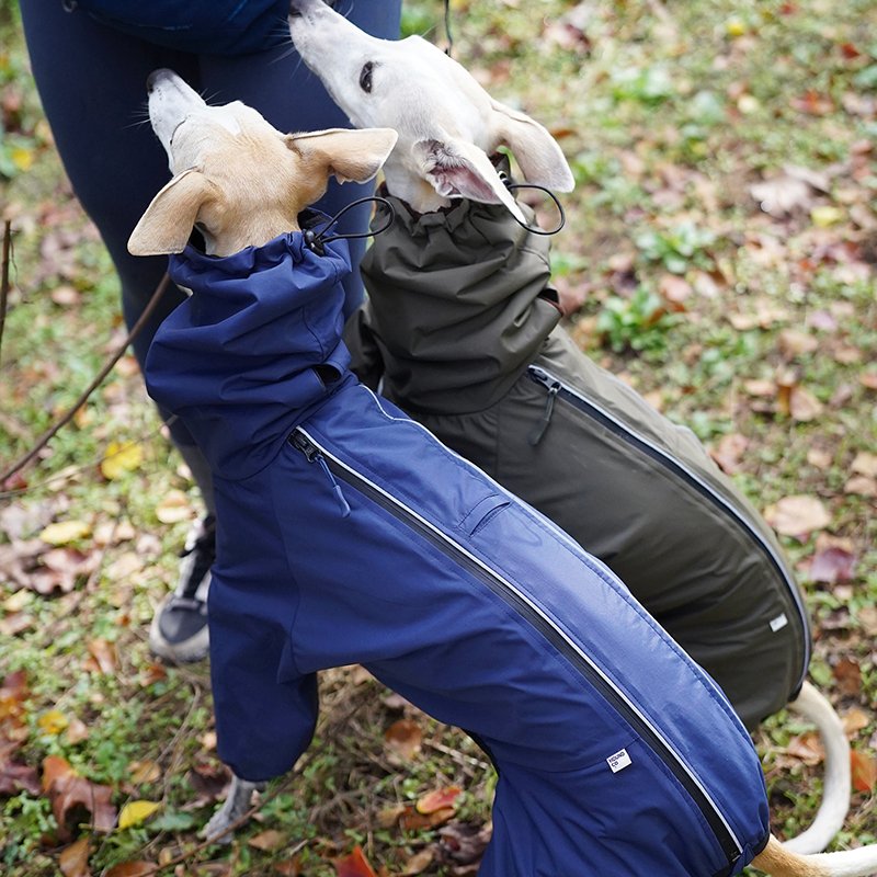 Outdoor Jacket Raincoat for Italian greyhound Whippet - PIKAPIKA