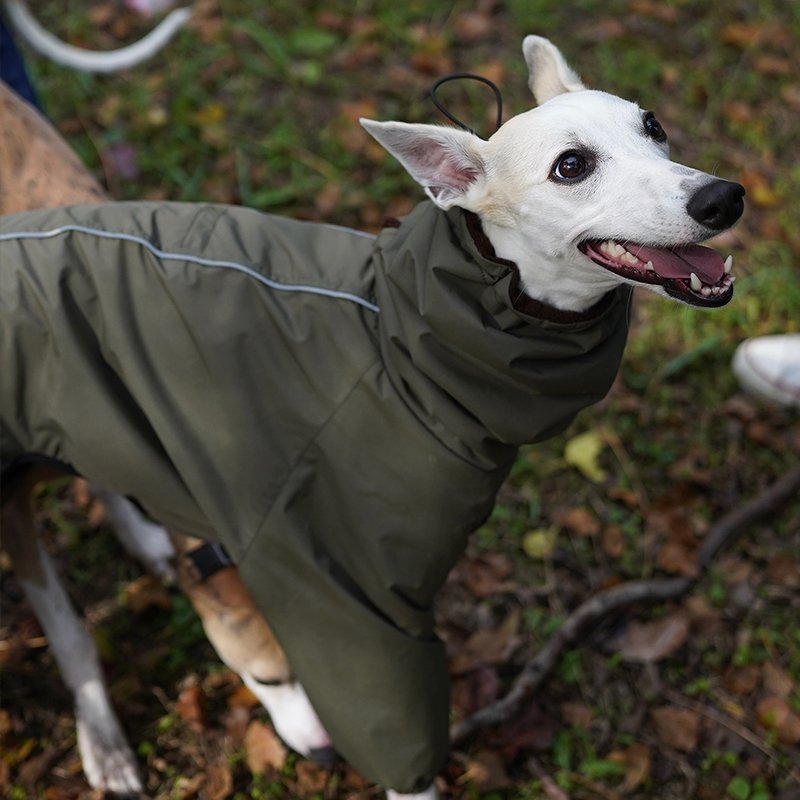 Outdoor Jacket Raincoat for Italian greyhound Whippet - PIKAPIKA